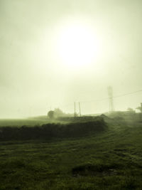 Sunset over grassy field