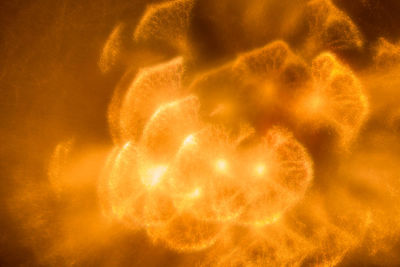 Close-up of fireworks against sky at night