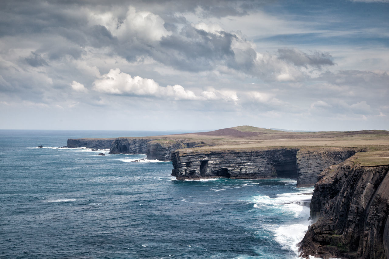 Loop head,