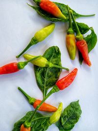 High angle view of fruits and vegetables on plate