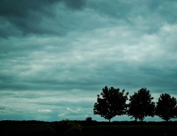 Trees on field against cloudy sky