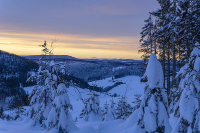 Snow covered land and trees against sky during sunset