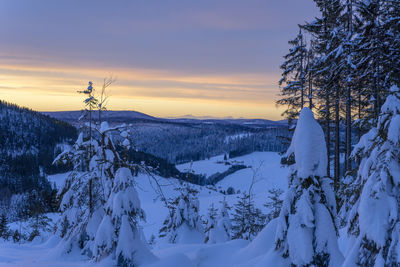 Snow covered land and trees against sky during sunsunrise