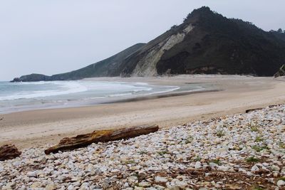 Driftwood on beach