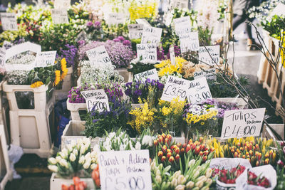 High angle view of colorful flowers in shop for sale