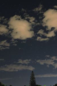 Low angle view of silhouette trees against sky at night