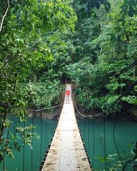 Man standing on rope bridge in forest