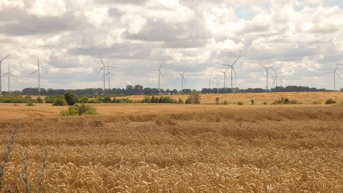 Windmills on field against sky