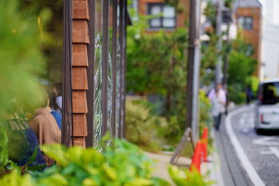 Rear view of woman looking through window