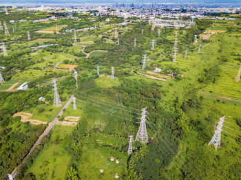 High angle view of trees on field