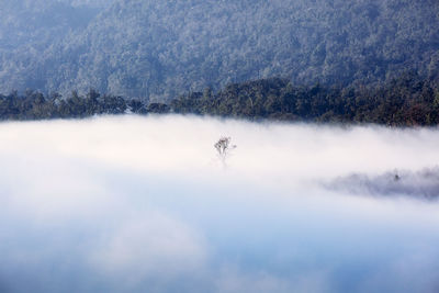 Scenic view of landscape against sky during winter