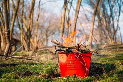 Bucket grill in flames in sunny forest