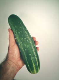 Close-up of hand holding leaf over white background