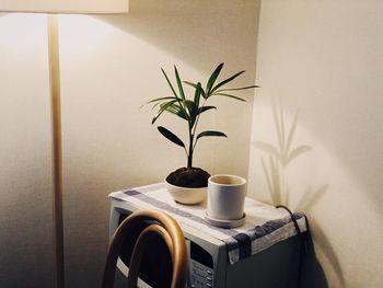Close-up of potted plant on table at home