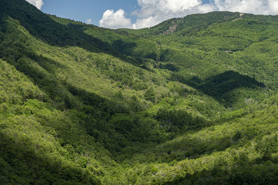 Scenic view of landscape