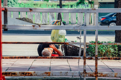 Side view of boy playing on railing