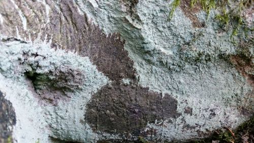 Rocks on rock formation