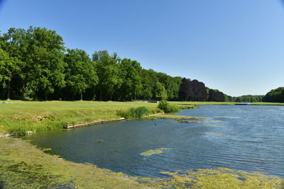 Scenic view of lake against clear blue sky