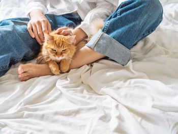Woman in blue jeans on crumpled bed sheet,strokes cute ginger cat. fluffy pet on unmade bed. 