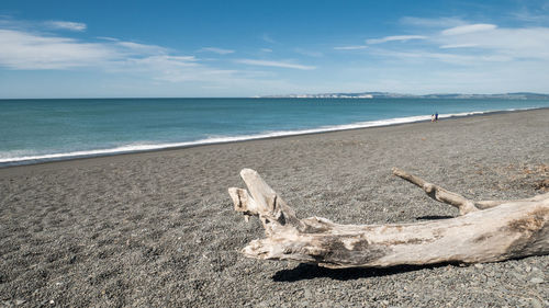 Calm ocean and beach with blue sky backdrop. napier marine parade in north island of new zealand