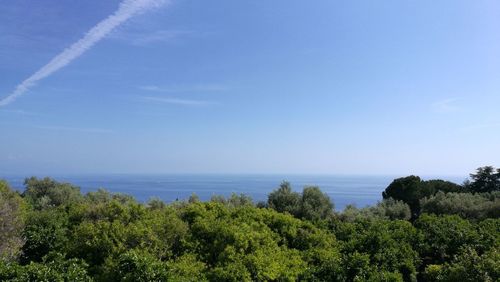 Scenic view of sea against blue sky