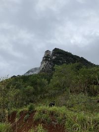 Low angle view of land against sky