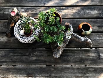 High angle view of potted plant on table