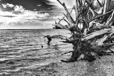 Scenic view of sea against cloudy sky