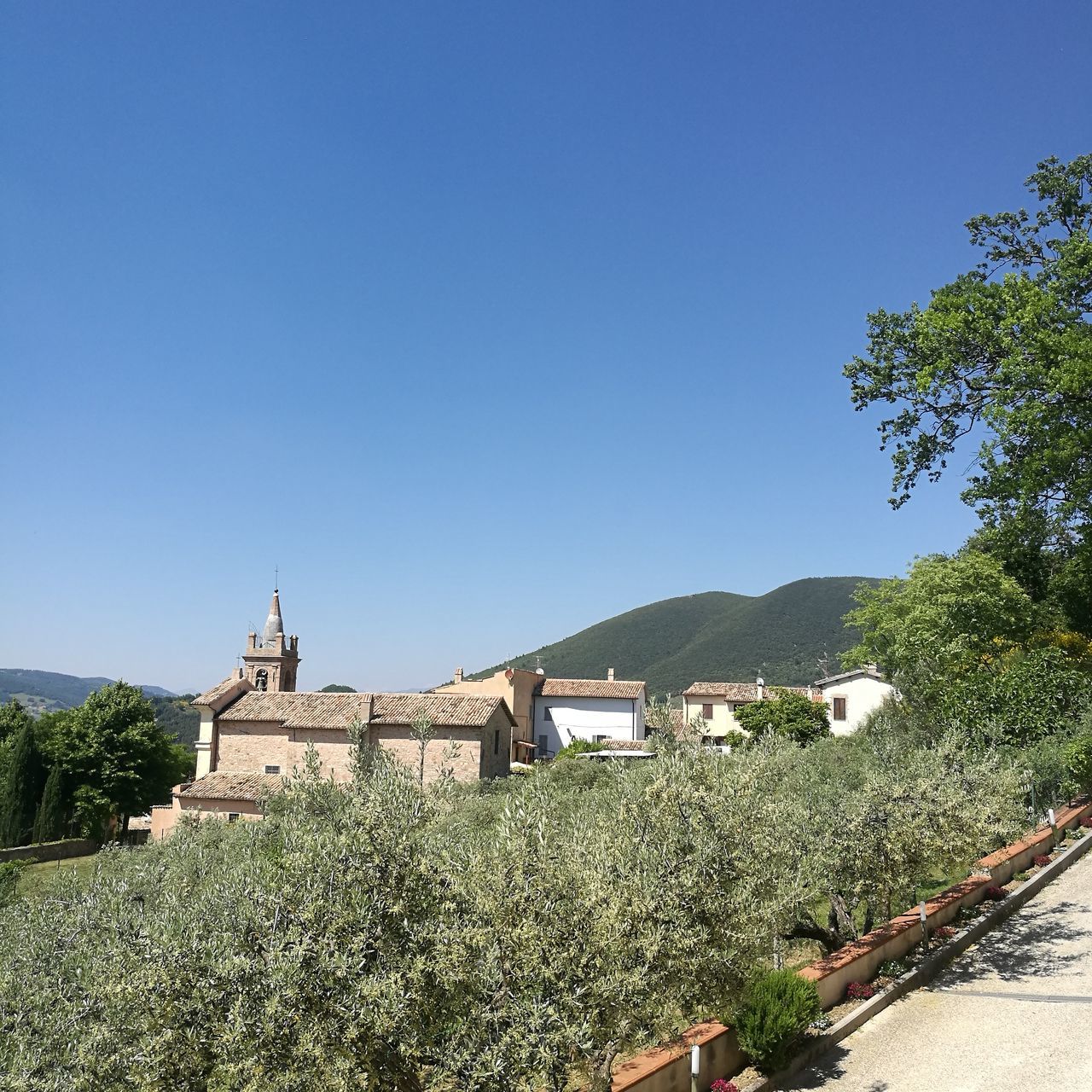 architecture, clear sky, tree, built structure, building exterior, blue, mountain, town, no people, outdoors, growth, day, nature