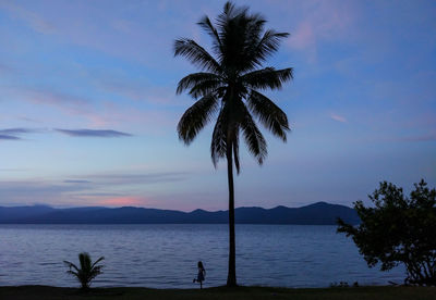 The silhouette of my beautiful daughter under the coconut tree on the side of the lake.