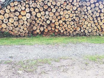 View of trees in field