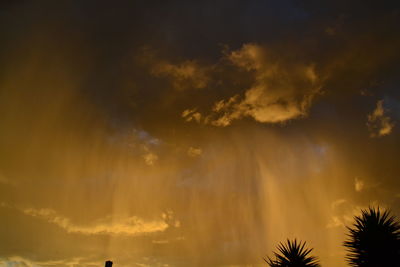 Low angle view of silhouette palm trees against sky