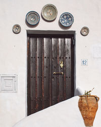 Potted plants on wall of building