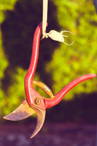 Close-up of butterfly hanging from spiral outdoors