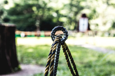 Close-up of rope passing through metallic loop