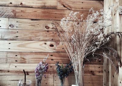 Wooden plank on wooden wall