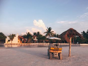 Palm trees on beach against sky