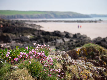 Scenic view of sea and rocks against sky