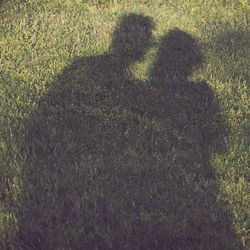 Shadow of couple on field