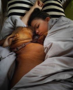 High angle view of dog sleeping on bed