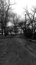 Empty road along bare trees