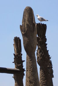 Low angle view of owl perching on tree against sky
