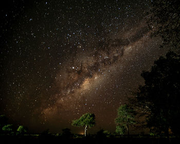 Milky way shot in south africa, in krueger national park camp