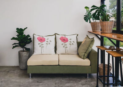 Potted plant on table at home