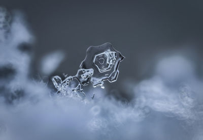 Close-up of ice during winter