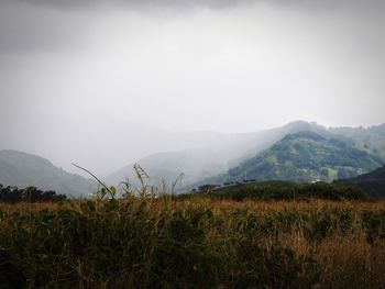 Scenic view of field and mountains against sky