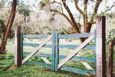 Fence by tree trunk