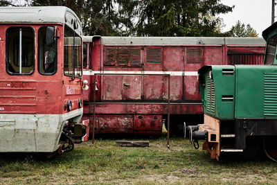 Train by trees against sky