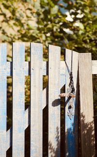 Close-up of wooden fence against plants