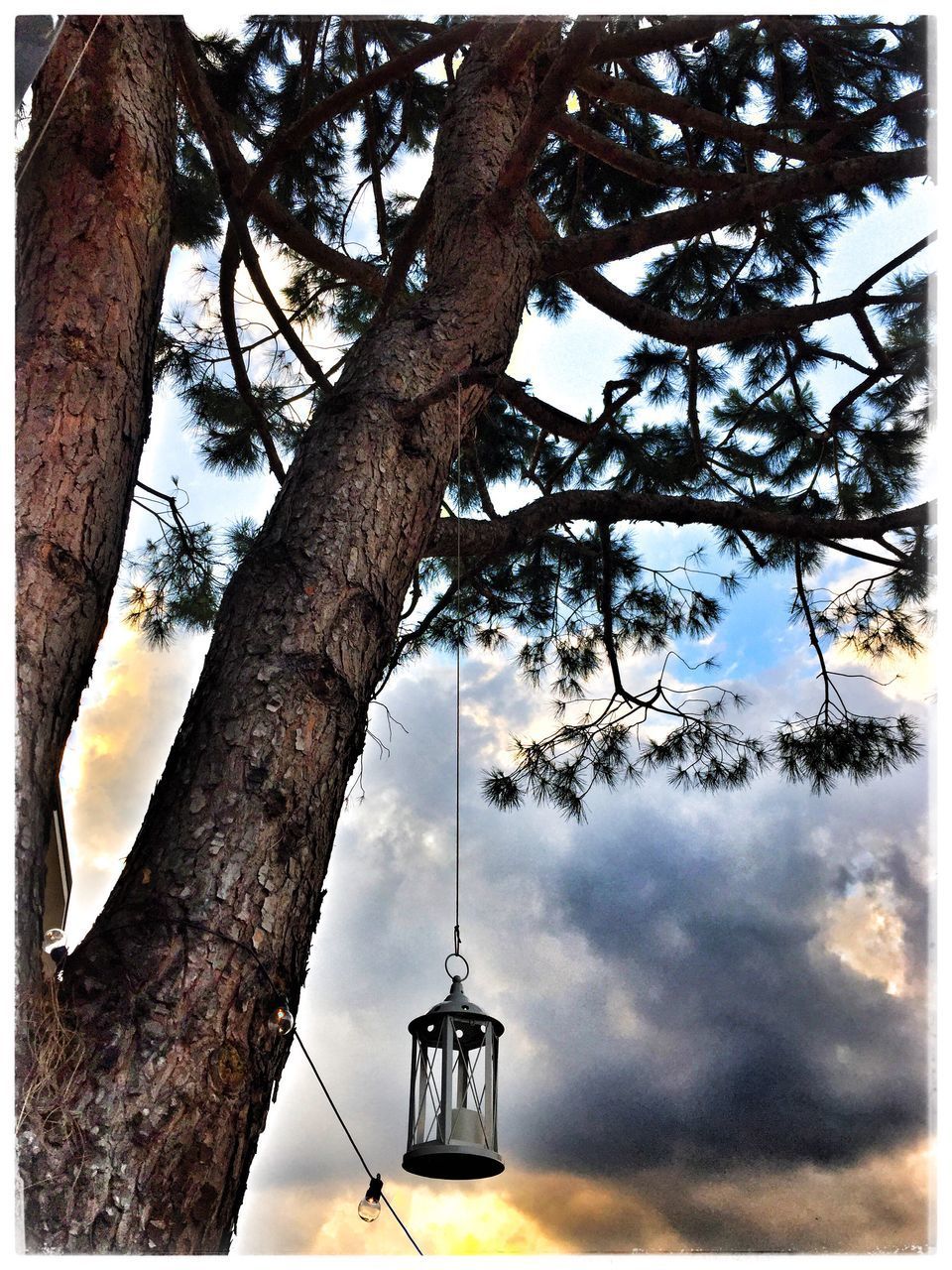 LOW ANGLE VIEW OF ELECTRIC LAMP AGAINST SKY